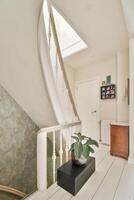 A staircase with a plant on it photo