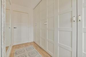 A white closet with a mirror and a rug photo