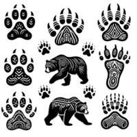 Bear paw prints and footprints vector