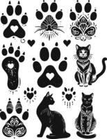 Cat paw prints and paw prints vector