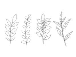 Set of leaves. Hand drawn decorative elements. doodle style on white background. simple botanical illustrations vector