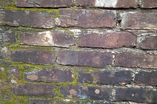 Heritage in Contrast Original Brick Building on a Light Green Canvas photo