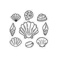 Simple drawing of a seashell collection vector