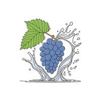 simple illustration grapes with splashes of grape juice vector