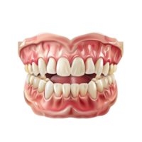 A tooth with missing teeth and missing teeth png