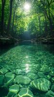A bright and peaceful view of a lush forest with a crystal clear stream that reveals the rocks beneath. Sunlight filters through tall trees. No people. A natural scene suitable for ecotourism. photo
