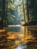 A bright and peaceful view of a lush forest with a crystal clear stream that reveals the rocks beneath. Sunlight filters through tall trees. No people. A natural scene suitable for ecotourism. photo