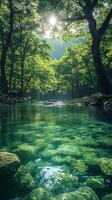 A bright and peaceful view of a lush forest with a crystal clear stream that reveals the rocks beneath. Sunlight filters through tall trees. No people. A natural scene suitable for ecotourism. photo