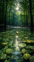 A bright and peaceful view of a lush forest with a crystal clear stream that reveals the rocks beneath. Sunlight filters through tall trees. No people. A natural scene suitable for ecotourism. photo