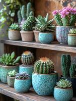 Stylish room's garden design with beautiful plants in cute little pots. Forest in the bedroom. Free space on the wall above the potted plants for writing a message suitable for use as a background. photo