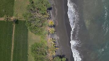 Aerial view of volcanic black sand beach and ocean waves in Bali, Indonesia. video