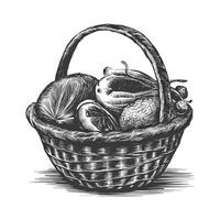 A black and white drawing of a basket full of fruit vector