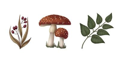 Set of three botanical element in cartoon style. Hand drawn fly agaric mushroom and twig of leaves and berries. Forest drawing perfect for autumn illustration and spooky season card designs. vector