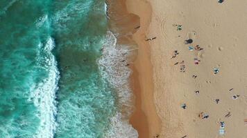Overhead drone view of people at sandy beach with waves reaching shore video