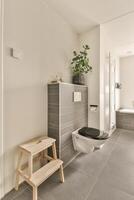 A modern bathroom with a toilet, sink and a bench photo