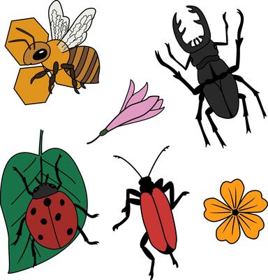 Clipart of cartoon insects and flowers. Illustration of a stag beetle, a ladybug on a leaf, a bee on a honeycomb, and flowers