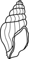 Sea shell for coloring book. Seashell illustration isolated on white background vector