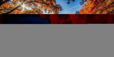 beauty, colorful leaves, seasonal, water, serene, Silhouette of an autumn landscape in Bavaria Germany featuring a serene rain river flowing through vibrant trees with colorful leaves photo