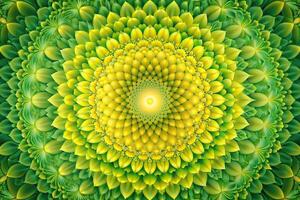 nature, pattern, decorative, vintage, cheerful, noise, vibrant, abstract, colorful,flower, yellow, petal, botanical, Yellow and Green Gradient Flower Pattern Background with Noise Fisheye photo