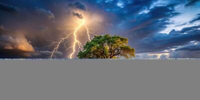 A stunning landscape with a lone lightning struck tree in a field surrounded by a picturesque background utilizing forced perspective, majestic, picturesque, field, road photo