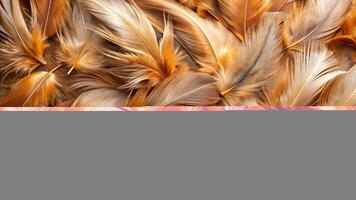 Brown chicken feather texture background with an asymmetrical arrangement of soft and intricate feathers, background, texture, intricate, soft,feathers, asymmetrical photo