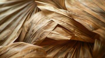 Dried palm leaves pattern which has withered or lacks water botanical background photo