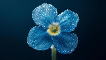 Forget me nots flower macro photo closeup foliage petal nature background