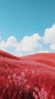 Red grass on hill and blue-sky view with clouds nature environment photo