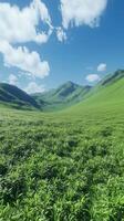 Green grass in hills and blue-sky view, nature outdoor environment story background photo