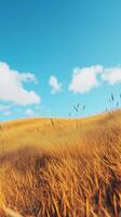 Hills with yellow grass field with blue sky story background photo