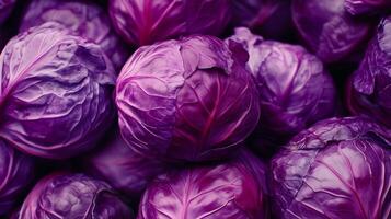 Purple cabbage vegetable pattern for organic agriculture natural concept photo