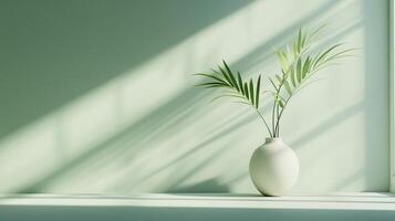 Blue wall cement blank with sun bright shadow from window and pot tree photo