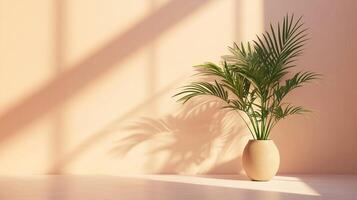 Peach wall cement blank with sun bright shadow from window and pot tree photo