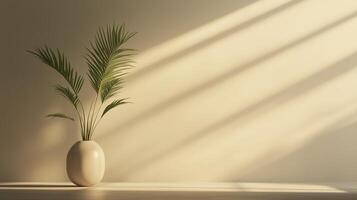 Beige wall cement blank with sun bright shadow from window and pot tree photo