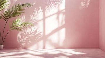 Pink wall cement blank with sun bright shadow from window and palm tree photo
