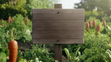 Blank wooden trunk board for label information important in carrot botanical garden farming photo