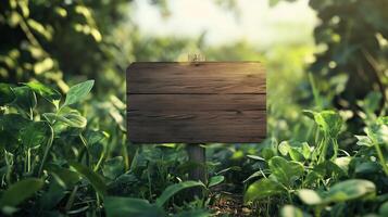 Blank wooden trunk board for label information important in spinach vegetable botanical field garden photo