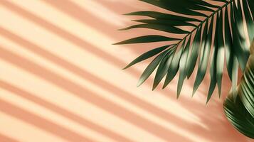 Green palm leaves of the edge frame decoration botanical nature copy space peach background photo
