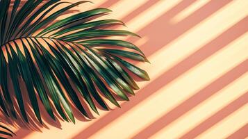 Green palm leaves of the edge frame decoration botanical nature copy space peach background photo