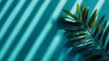 Green palm leaves of the edge frame decoration botanical nature copy space blue background photo
