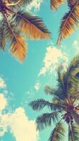 Coconut palm trees tropical vegetation taken from above with blue sky and clouds photo