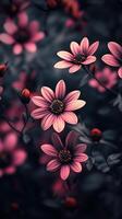 Captivating pink flower dramatic photo effect dark blurred background portrait style