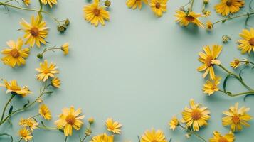 Circular arrangement of arnica flower beauty botanical garden copy space background photo