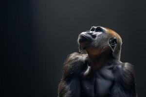 A gorilla is looking up in the air photo