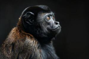 A monkey is looking up at the camera photo