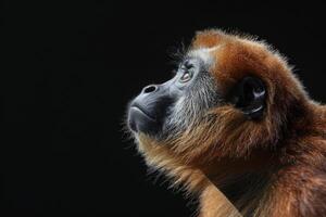 A red - headed monkey looking up at something photo