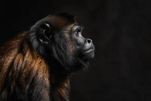 A monkey is looking off to the side photo