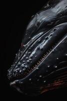 A close up of a whale's head with its mouth open photo