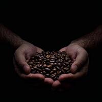 Hands holding coffee beans on a black background photo