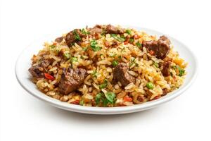 A plate of rice with meat and vegetables photo